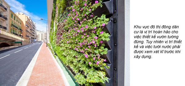 20160620 Vườn tường đứng - giải pháp xanh cho các đô thị 3.jpg
