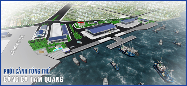 20160607 Cang ca Tam Quang 1.jpg
